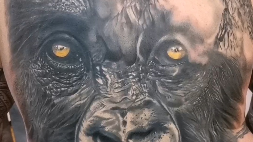 Tatouage animalier gorille